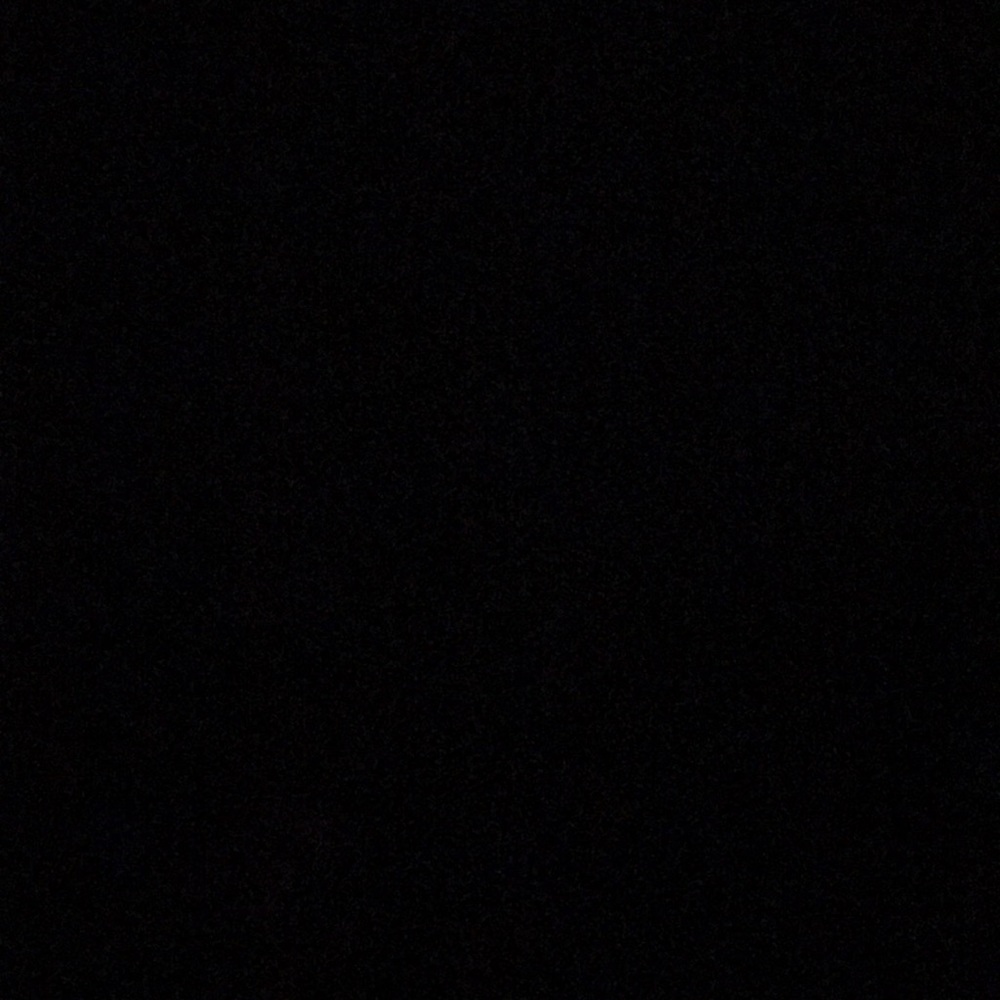 Meet your Posher, Louie